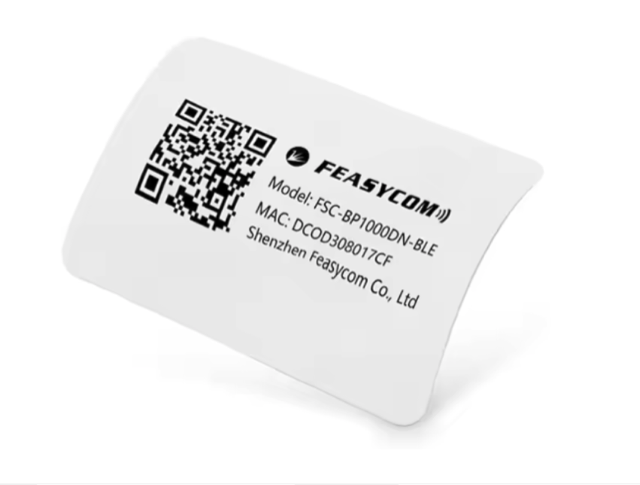 Feasycom FSC BP1000DN