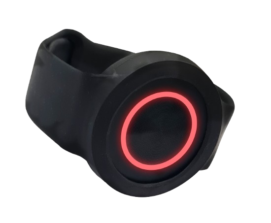 Garnet BT 650B