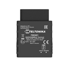 Teltonika FM3001